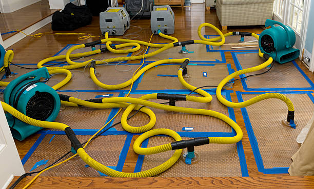 Professional Sewage Cleanup technician working in Burnett, WI